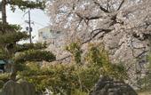 Туры в отель Wakayama Green Hotel