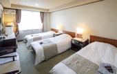 Туры в отель Wakayama Green Hotel