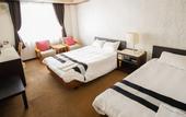 Туры в отель Wakayama Green Hotel