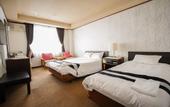 Туры в отель Wakayama Green Hotel