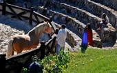 Туры в отель Hotel Finca Los Pilares de Ronda