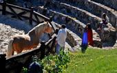 Туры в отель Hotel Finca Los Pilares de Ronda