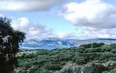 Туры в отель Hotel Finca Los Pilares de Ronda