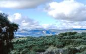 Туры в отель Hotel Finca Los Pilares de Ronda