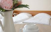Туры в отель Hotel Opal