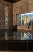 Туры в отель Galois Hotel Shin-Okubo
