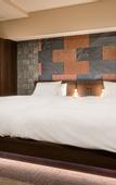 Туры в отель Galois Hotel Shin-Okubo