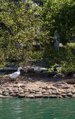 Туры в отель Crowne Plaza Sydney Burwood by IHG