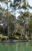Туры в отель Crowne Plaza Sydney Burwood by IHG