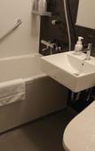 Туры в отель Yokohama Tokyu REI Hotel
