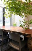 Туры в отель Luxcare Hotel