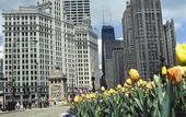 Туры в отель InterContinental Chicago