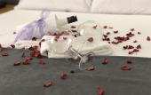 Туры в отель Asiwa Otel