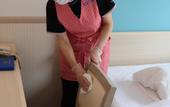 Туры в отель Toyoko Inn Nagareyama-Otakanomori Ekimae