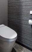 Туры в отель Connect inn Shichijokawaramachi