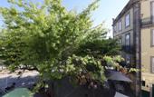 Туры в отель Memoria Porto FLH Hotels
