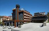 Туры в отель Luxon Hotel Sakarya