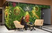 Туры в отель Luxon Hotel Sakarya