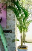 Туры в отель Salty Breeze Bali