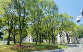 Туры в отель Baodao Forest Hotel (Shanghai Chongming)