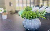 Туры в отель Baodao Forest Hotel (Shanghai Chongming)