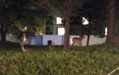 Туры в отель Baodao Forest Hotel (Shanghai Chongming)