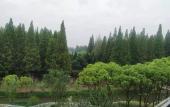 Туры в отель Baodao Forest Hotel (Shanghai Chongming)