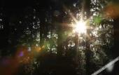 Туры в отель Baodao Forest Hotel (Shanghai Chongming)