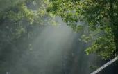 Туры в отель Baodao Forest Hotel (Shanghai Chongming)