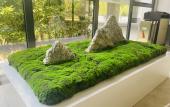 Туры в отель Baodao Forest Hotel (Shanghai Chongming)