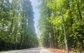 Туры в отель Baodao Forest Hotel (Shanghai Chongming)