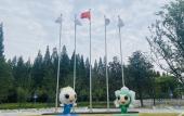 Туры в отель Baodao Forest Hotel (Shanghai Chongming)