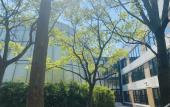 Туры в отель Baodao Forest Hotel (Shanghai Chongming)