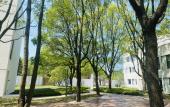 Туры в отель Baodao Forest Hotel (Shanghai Chongming)