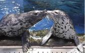 Туры в отель Super Hotel Shonan Fujisawaeki Minamiguchi