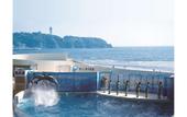 Туры в отель Super Hotel Shonan Fujisawaeki Minamiguchi