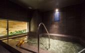Туры в отель Super Hotel Shonan Fujisawaeki Minamiguchi
