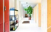 Туры в отель The Green Elephant Hostel & Spa