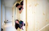 Туры в отель The Green Elephant Hostel & Spa