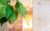 Туры в отель The Green Elephant Hostel & Spa