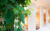 Туры в отель The Green Elephant Hostel & Spa