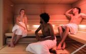 Туры в отель The Green Elephant Hostel & Spa