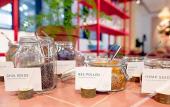 Туры в отель The Green Elephant Hostel & Spa