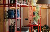 Туры в отель The Green Elephant Hostel & Spa