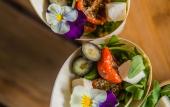 Туры в отель The Green Elephant Hostel & Spa