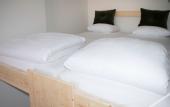 Туры в отель The Green Elephant Hostel & Spa