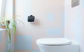 Туры в отель The Green Elephant Hostel & Spa