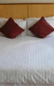 Туры в отель Ocean Beach Hotel