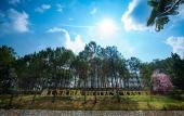 Туры в отель CEREJA Hotel & Resort Da Lat