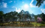Туры в отель CEREJA Hotel & Resort Da Lat